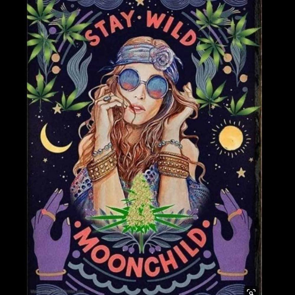 Meet your Posher, Vikki